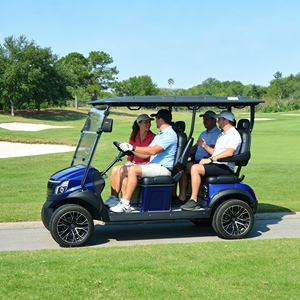 Carrito de <span class=keywords><strong>Golf</strong></span> Eléctrico Económico, Compacto para Ocio Personal y Desplazamientos de Corta Distancia - Product Image 1