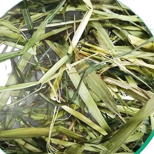 Heno de Avena Premium, Heno de Alfalfa, Alimento para Conejos con Alto Contenido de Fibra, para Cobayas, Chinchillas y Animales Pequeños, Ecológico, Jinchang, Gansu - Product Image 4