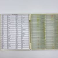 Biological Tissue Slides Wooden Case Packing For Basic Biological Science Education Microscope Biological