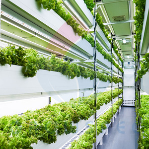 Hydroponics thiết bị để phát triển lá xanh container trang trại - Product Image 4