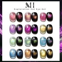 Kit de vernis à ongles gel effet œil de chat Hema TPO Free Formula Galaxy Shimmer, vernis à ongles gel magnétique effet œil de chat Aurora personnalisable pour salon de manucure