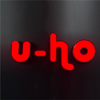 Lettres lumineuses 3D LED personnalisées, signalétique haut de gamme pour magasin de marque