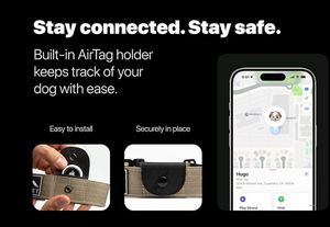 <span class=keywords><strong>Collar</strong></span> táctico para perro mascota de baja MOQ resistente con soporte Airtag almohadilla de neopreno suave hebilla de Metal <span class=keywords><strong>GPS</strong></span> <span class=keywords><strong>Collar</strong></span> táctico para perro - Product Image 6