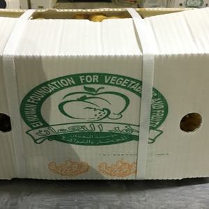 Cina Anqiu/Laiwu zenzero fresco 200g Jordan - Product Image 6