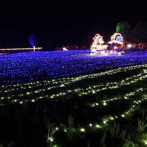 100 LEDs <strong>Solar</strong> <strong>String</strong> <strong>Light</strong> Waterproof Rope Tube <strong>Lights</strong> Outdoor Garden Tree Lamp <strong>Multi</strong> Color 10M - Product Image 2