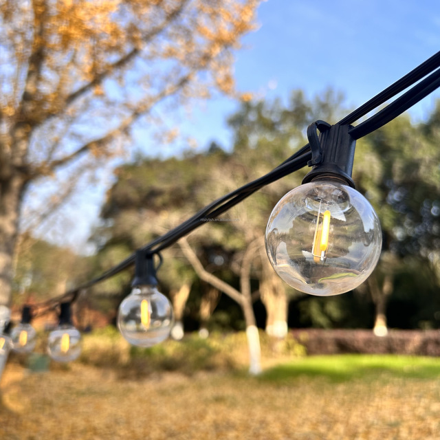 G40 Globe Waterproof IP44 Outdoor E12 10m 30bulbs LED String Lights Holiday Patio