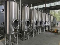 Système de brassage avec cuve de fermentation de 1000L, trappe d'accès supérieure, valve de purge et port de brassage à sec pour système de brassage