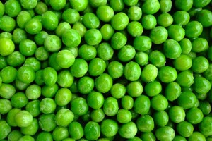 Cina origine 2025 nuovo raccolto IQF piselli freschi surgelati ortaggi surgelati freschi piselli surgelati - Product Image 3