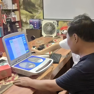 Penganalisa kesehatan untuk FRP/akrilik Pod Sauna Solo kapsul Sauna untuk peningkatan metabolisme - Product Image 2