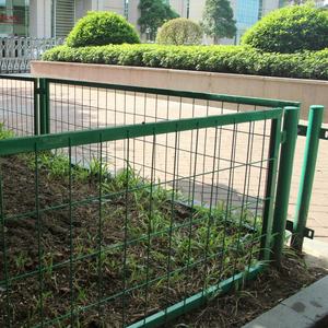 1ft e 2ft altezza di <span class=keywords><strong>plastica</strong></span> rivestimento <span class=keywords><strong>in</strong></span> pvc verde maglia telaio saldati pannello di recinzione/Guangzhou fornitore di recinzione <span class=keywords><strong>per</strong></span> il giardino di fiori letto - Product Image 2