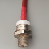 Diodes de redressement 200A 250A 300A 1600V diodes de type russe RSD7 Diode de récupération standard D171-300-16 D171-200-16