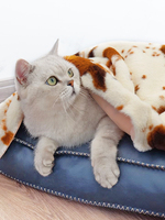 Vente chaude en gros, couverture pour animaux de compagnie, chat, chien, personnalisée, lavable, luxueuse, de qualité supérieure, douce, en peluche, écologique, à imprimé floral