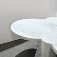 Table d'appoint en marbre blanc Calacatta Table basse classique en pierre naturelle flocon de neige Hôtels Villas Meubles traditionnels coupés à la taille