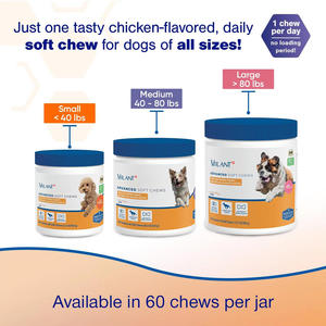 Compresse nutrizionali masticabili per la cura delle articolazioni per cani integratori sanitari per animali domestici per una salute ottimale degli animali domestici - Product Image 2