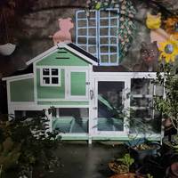 Assurance qualité Poulailler en bois Grand espace Design pour la vente en ligne