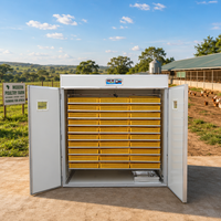 Incubateur de poulet 5280 œufs, Stock de haute qualité, Machine pour œufs en afrique du sud, entièrement automatique