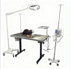 Mesa <span class=keywords><strong>de</strong></span> Operaciones Veterinaria Eléctrica Ajustable, Resistente a la Corrosión, <span class=keywords><strong>de</strong></span> Acero Inoxidable, para <span class=keywords><strong>Centro</strong></span> Médico Veterinario - Product Image 2