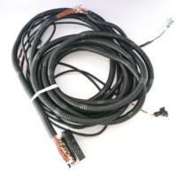 Harnais de câblage étanche personnalisé OEM ODM, pour machines de construction, motos, tout-terrain et assemblages de câbles pour vélos électriques