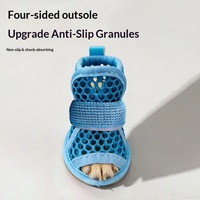 Nouvelles sandales d'été décontractées en maille respirante pour petits chiens, chaussures d'extérieur antidérapantes avec sangle élastique, mignonnes