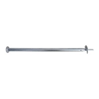 Pieux à vis de galvanisation à chaud en acier de 60x1500mm pour les serres de jardins d'hiver de terrasses