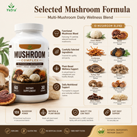 Mantar Kompleksi Tabletleri Aslan Yelesi Reishi Cordyceps Chaga Hindi Kuyruğu D3 Çinko Bağışıklık Destekleyici Takviye