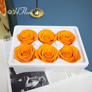 HFlora, venta al por mayor, alta calidad, cabeza de Rosa preservada eterna para siempre, cabeza de flor para siempre para el Día de San Valentín del amante - Product Image 1