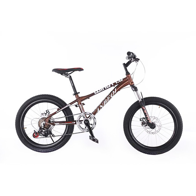Mountain Bike for Kids 12 Years Old 20 Inch Single Speed Disc Brake Steel Fork Children bicycle