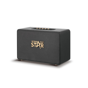 ลำโพงพกพาไร้สาย WINNING STAR รุ่น Retro ใหม่เอี่ยม สำหรับส่งออกข้ามประเทศ เสียงเบสหนักแน่น - Product Image 5