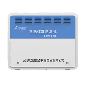 Generatore di ossigeno domestico portatile portatile da 10L 20L generatore di ossigene da 10l