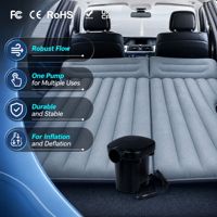 Pompe à air électrique OEM ODM portable pour gonflage et dégonflage de matelas pneumatiques, lits gonflables, canapés, piscines et bouées de natation