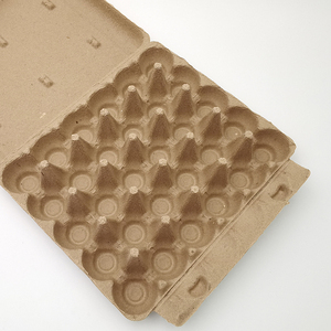 Paper Pulp Egg Carton Biodegradable Pulp Fiber Egg Tray Molded Paper Pulp Packaging Tray Carton Box