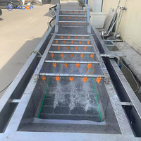 Automatische groente- en fruitwasmachine 800KG/H roestvrijstalen wasmachine Commerciële apparatuur voor het reinigen van producten