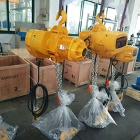 Palans électriques à chaîne de 1,5 tonne, capacité de levage de 1500 kg, hauteur de levage de 6 m, palan électrique à chaîne pour travaux de chantier