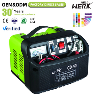 Caricabatterie Portatile per Auto 12V 24V Rohs AC 200V a Prezzo di Fabbrica con Protezione Termica Leggero e Compatto - Product Image 1