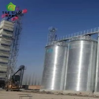 Système complet de stockage de céréales en silo en acier à fond plat clé en main pour ligne de traitement agricole à grande échelle