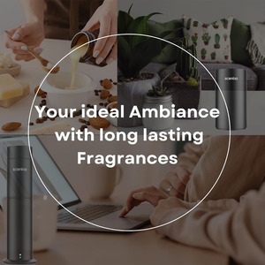 Aromaterapia 100% Pura y Natural, <span class=keywords><strong>Aceite</strong></span> Esencial Puro <span class=keywords><strong>de</strong></span> 10 ml con Infusión <span class=keywords><strong>de</strong></span> Rosa, Lavanda, Romero, Eucalipto y Limoncillo - Product Image 6