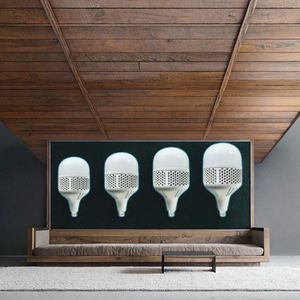 Ampoules LED personnalisées de type T E27 B22 avec corps en aluminium et alimentation CA pour l'éclairage domestique et des entrepôts - Product Image 4