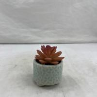 Plante succulente artificielle en plastique, plante en pot, décoration de bureau, plante verte bionique, petit bonsaï, Pâques, mariage, écologique
