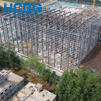 Diseño CAD hasta la Instalación Completa: Taller/Almacén de Estructura de Acero Personalizado Llave en Mano con Grúa Aérea