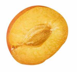 Poudre de <span class=keywords><strong>Prunus</strong></span> Domestica de haute qualité en gros, extrait pur de <span class=keywords><strong>Prunus</strong></span> Domestica en poudre, poudre de jus de <span class=keywords><strong>Prunus</strong></span> Domestica - Product Image 3