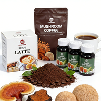 Extrait d'herbes, extrait de Reishi, extrait de crinière de lion, café instantané sans sucre, saveur neutre, en poudre, pour la gestion du poids, fabriqué en Chine