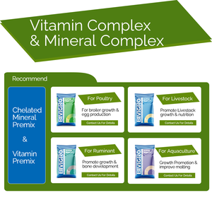 วิตามินรวมชนิดละลายน้ำ <span class=keywords><strong>AD3E</strong></span> K B คอมเพล็กซ์ สำหรับสัตว์ปีก ไก่เนื้อ ช่วยเร่งการเจริญเติบโตและประสิทธิภาพการวางไข่ - Product Image 6