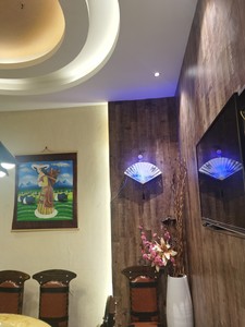 Lampada Trappola per Insetti a Forma di Ventaglio con LED - Design Tradizionale Cinese per il Controllo di Mosche e Insetti in Uffici e Spazi Commerciali - Product Image 4