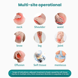 Therapeutische Echografie Machine Met Ultrawave Technologie Ce Gecertificeerd Pijnstilling Apparaat Voor Paarden En Honden Fysiotherapie - Product Image 6