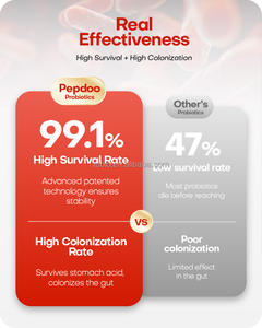 Gomitas Probióticas OEM Personalizadas, Aptas para Regular el Intestino y el Estómago, Gomitas Probióticas con Péptidos de Suero Complejos - Product Image 4