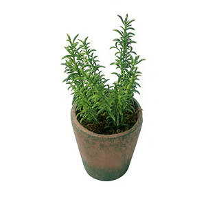 Planta Artificial Decorativa en Maceta <span class=keywords><strong>de</strong></span> Cemento, Tomillo, Follaje Decorativo para el Hogar u Oficina, Estilo Rústico Encantador - Product Image 3