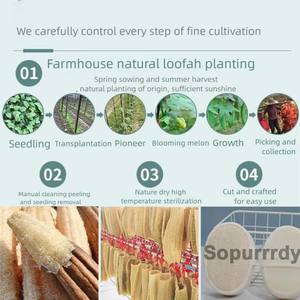 Brosse de bain en luffa naturelle avec logo personnalisé Brosse de gommage exfoliante pour le corps avec poignée Douche à légumes et luffa Brosse de bain en luffa - Product Image 6