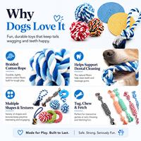 Jouet en Corde de Coton Écologique Résistant aux Morsures et à la Déchiqueture pour Chiens et Chats, Nœud Interactif au Design Mignon et Tendance pour le Quotidien
