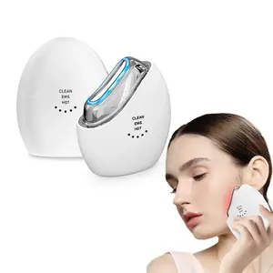Wholesale Multi-Functional Beauty Scraping Facial Lifting And Anti-Wrinkle Essence Introduction Instrument