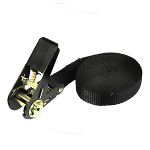 Chất Lượng Tốt Wellstone An Toàn 100% Polyester Webbing Vành Đai Polyester Ratchet Tie Xuống Dây Đeo Với Kéo Móc - Product Image 6